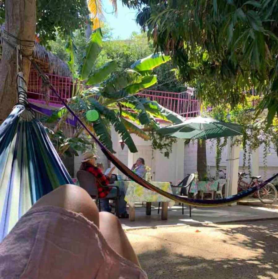 Hotel Posada Senor Manana San Jose del Cabo Bagian luar foto