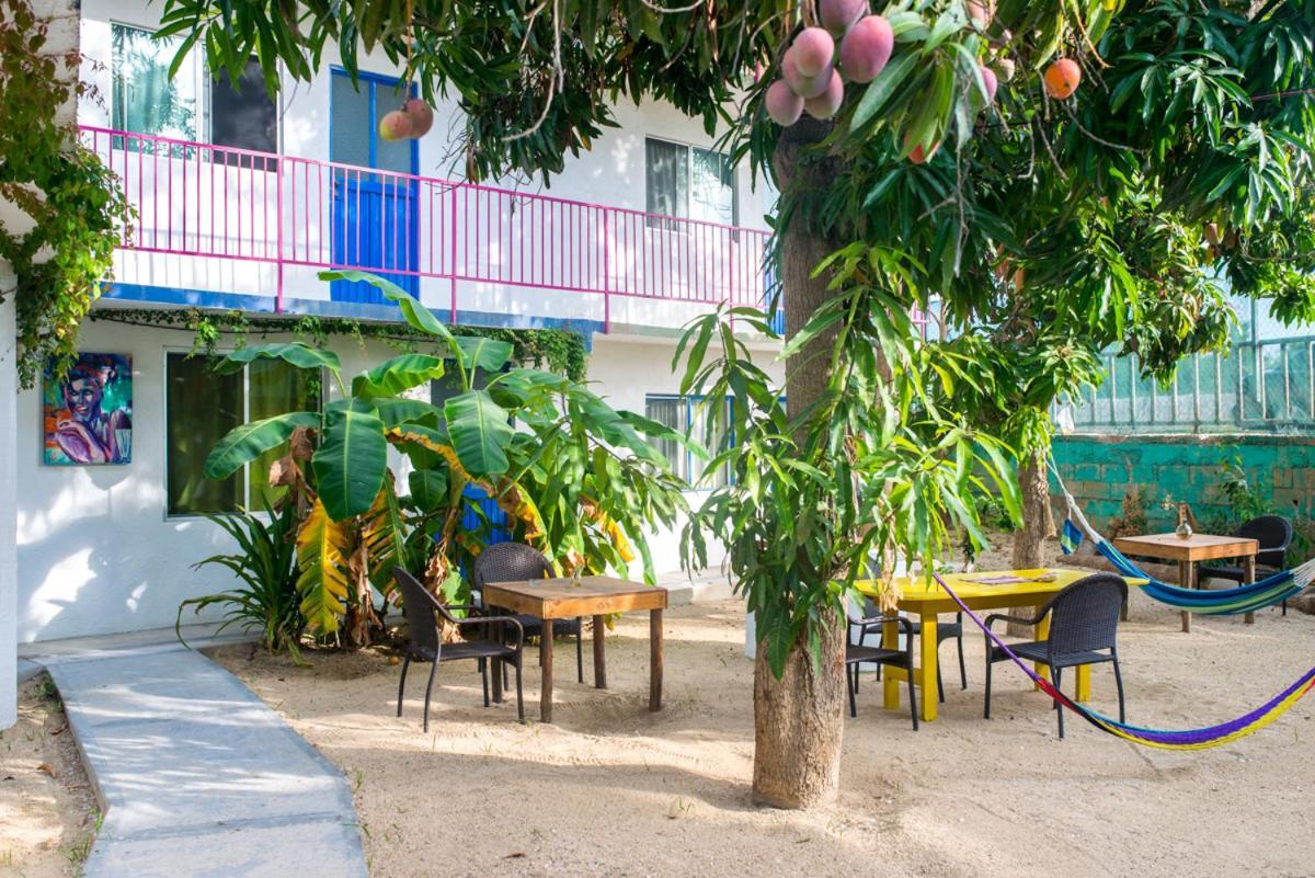 Hotel Posada Senor Manana San Jose del Cabo Bagian luar foto